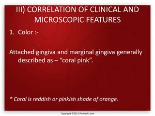III) CORRELATION OF CLINICAL AND
MICROSCOPIC FEATURES
1. Color :-
Attached gingiva and marginal gingiva generally
described as – “coral pink”.
* Coral is reddish or pinkish shade of orange.
Copyright ©2021 Periowiki.com
 