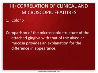 III) CORRELATION OF CLINICAL AND
MICROSCOPIC FEATURES
1. Color :-
Comparison of the microscopic structure of the
attached gingiva with that of the alveolar
mucosa provides an explanation for the
difference in appearance.
Copyright ©2021 Periowiki.com
 