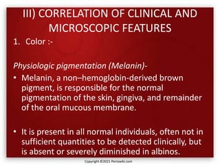 III) CORRELATION OF CLINICAL AND
MICROSCOPIC FEATURES
1. Color :-
Physiologic pigmentation (Melanin)-
• Melanin, a non–hemoglobin-derived brown
pigment, is responsible for the normal
pigmentation of the skin, gingiva, and remainder
of the oral mucous membrane.
• It is present in all normal individuals, often not in
sufficient quantities to be detected clinically, but
is absent or severely diminished in albinos.
Copyright ©2021 Periowiki.com
 