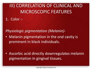 III) CORRELATION OF CLINICAL AND
MICROSCOPIC FEATURES
1. Color :-
Physiologic pigmentation (Melanin)-
• Melanin pigmentation in the oral cavity is
prominent in black individuals.
• Ascorbic acid directly downregulates melanin
pigmentation in gingival tissues.
Copyright ©2021 Periowiki.com
 