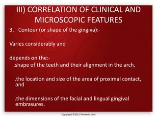 III) CORRELATION OF CLINICAL AND
MICROSCOPIC FEATURES
3. Contour (or shape of the gingiva):-
Varies considerably and
depends on the:-
.shape of the teeth and their alignment in the arch,
.the location and size of the area of proximal contact,
and
.the dimensions of the facial and lingual gingival
embrasures.
Copyright ©2021 Periowiki.com
 