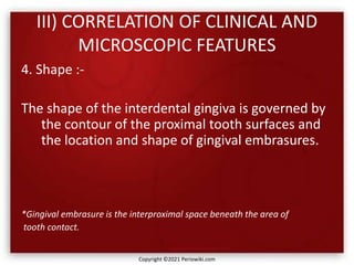 III) CORRELATION OF CLINICAL AND
MICROSCOPIC FEATURES
4. Shape :-
The shape of the interdental gingiva is governed by
the contour of the proximal tooth surfaces and
the location and shape of gingival embrasures.
*Gingival embrasure is the interproximal space beneath the area of
tooth contact.
Copyright ©2021 Periowiki.com
 