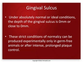 Gingival Sulcus
• Under absolutely normal or ideal conditions,
the depth of the gingival sulcus is 0mm or
close to 0mm.
• These strict conditions of normalcy can be
produced experimentally only in germ-free
animals or after intense, prolonged plaque
control.
Copyright ©2021 Periowiki.com
 