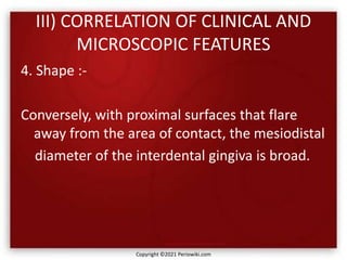 III) CORRELATION OF CLINICAL AND
MICROSCOPIC FEATURES
4. Shape :-
Conversely, with proximal surfaces that flare
away from the area of contact, the mesiodistal
diameter of the interdental gingiva is broad.
Copyright ©2021 Periowiki.com
 