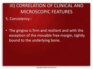 III) CORRELATION OF CLINICAL AND
MICROSCOPIC FEATURES
5. Consistency:-
• The gingiva is firm and resilient and with the
exception of the movable free margin, tightly
bound to the underlying bone.
Copyright ©2021 Periowiki.com
 