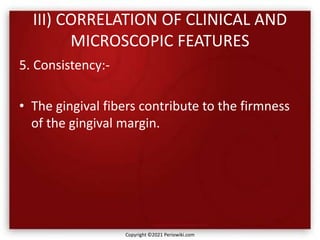 III) CORRELATION OF CLINICAL AND
MICROSCOPIC FEATURES
5. Consistency:-
• The gingival fibers contribute to the firmness
of the gingival margin.
Copyright ©2021 Periowiki.com
 