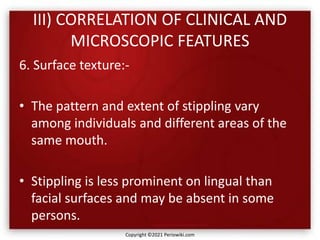 III) CORRELATION OF CLINICAL AND
MICROSCOPIC FEATURES
6. Surface texture:-
• The pattern and extent of stippling vary
among individuals and different areas of the
same mouth.
• Stippling is less prominent on lingual than
facial surfaces and may be absent in some
persons.
Copyright ©2021 Periowiki.com
 