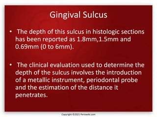 Gingival Sulcus
• The depth of this sulcus in histologic sections
has been reported as 1.8mm,1.5mm and
0.69mm (0 to 6mm).
• The clinical evaluation used to determine the
depth of the sulcus involves the introduction
of a metallic instrument, periodontal probe
and the estimation of the distance it
penetrates.
Copyright ©2021 Periowiki.com
 