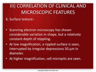 III) CORRELATION OF CLINICAL AND
MICROSCOPIC FEATURES
6. Surface texture:-
• Scanning electron microscopy has shown
considerable variation in shape, but a relatively
constant depth of stippling.
• At low magnification, a rippled surface is seen,
interrupted by irregular depressions 50 μm in
diameter.
• At higher magnification, cell micropits are seen.
Copyright ©2021 Periowiki.com
 