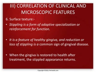III) CORRELATION OF CLINICAL AND
MICROSCOPIC FEATURES
6. Surface texture:-
• Stippling is a form of adaptive specialization or
reinforcement for function.
• It is a feature of healthy gingiva, and reduction or
loss of stippling is a common sign of gingival disease.
• When the gingiva is restored to health after
treatment, the stippled appearance returns.
Copyright ©2021 Periowiki.com
 