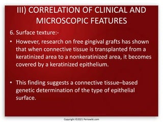 III) CORRELATION OF CLINICAL AND
MICROSCOPIC FEATURES
6. Surface texture:-
• However, research on free gingival grafts has shown
that when connective tissue is transplanted from a
keratinized area to a nonkeratinized area, it becomes
covered by a keratinized epithelium.
• This finding suggests a connective tissue–based
genetic determination of the type of epithelial
surface.
Copyright ©2021 Periowiki.com
 
