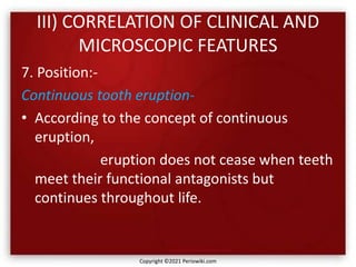 III) CORRELATION OF CLINICAL AND
MICROSCOPIC FEATURES
7. Position:-
Continuous tooth eruption-
• According to the concept of continuous
eruption,
eruption does not cease when teeth
meet their functional antagonists but
continues throughout life.
Copyright ©2021 Periowiki.com
 