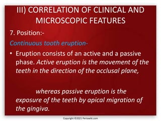III) CORRELATION OF CLINICAL AND
MICROSCOPIC FEATURES
7. Position:-
Continuous tooth eruption-
• Eruption consists of an active and a passive
phase. Active eruption is the movement of the
teeth in the direction of the occlusal plane,
whereas passive eruption is the
exposure of the teeth by apical migration of
the gingiva.
Copyright ©2021 Periowiki.com
 