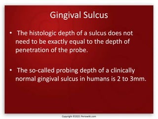 Gingival Sulcus
• The histologic depth of a sulcus does not
need to be exactly equal to the depth of
penetration of the probe.
• The so-called probing depth of a clinically
normal gingival sulcus in humans is 2 to 3mm.
Copyright ©2021 Periowiki.com
 