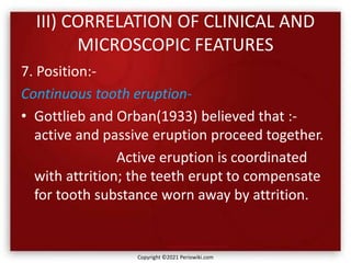 III) CORRELATION OF CLINICAL AND
MICROSCOPIC FEATURES
7. Position:-
Continuous tooth eruption-
• Gottlieb and Orban(1933) believed that :-
active and passive eruption proceed together.
Active eruption is coordinated
with attrition; the teeth erupt to compensate
for tooth substance worn away by attrition.
Copyright ©2021 Periowiki.com
 