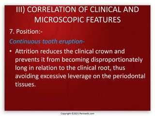 III) CORRELATION OF CLINICAL AND
MICROSCOPIC FEATURES
7. Position:-
Continuous tooth eruption-
• Attrition reduces the clinical crown and
prevents it from becoming disproportionately
long in relation to the clinical root, thus
avoiding excessive leverage on the periodontal
tissues.
Copyright ©2021 Periowiki.com
 