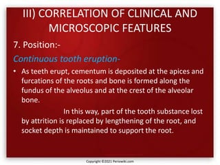III) CORRELATION OF CLINICAL AND
MICROSCOPIC FEATURES
7. Position:-
Continuous tooth eruption-
• As teeth erupt, cementum is deposited at the apices and
furcations of the roots and bone is formed along the
fundus of the alveolus and at the crest of the alveolar
bone.
In this way, part of the tooth substance lost
by attrition is replaced by lengthening of the root, and
socket depth is maintained to support the root.
Copyright ©2021 Periowiki.com
 