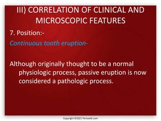 III) CORRELATION OF CLINICAL AND
MICROSCOPIC FEATURES
7. Position:-
Continuous tooth eruption-
Although originally thought to be a normal
physiologic process, passive eruption is now
considered a pathologic process.
Copyright ©2021 Periowiki.com
 