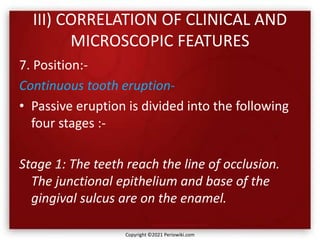 III) CORRELATION OF CLINICAL AND
MICROSCOPIC FEATURES
7. Position:-
Continuous tooth eruption-
• Passive eruption is divided into the following
four stages :-
Stage 1: The teeth reach the line of occlusion.
The junctional epithelium and base of the
gingival sulcus are on the enamel.
Copyright ©2021 Periowiki.com
 
