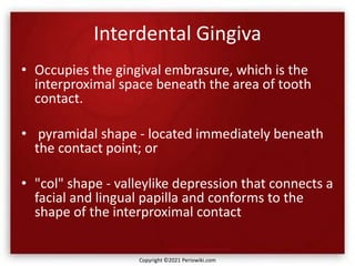 Interdental Gingiva
• Occupies the gingival embrasure, which is the
interproximal space beneath the area of tooth
contact.
• pyramidal shape - located immediately beneath
the contact point; or
• "col" shape - valleylike depression that connects a
facial and lingual papilla and conforms to the
shape of the interproximal contact
Copyright ©2021 Periowiki.com
 