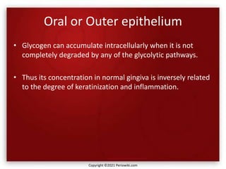 Oral or Outer epithelium
• Glycogen can accumulate intracellularly when it is not
completely degraded by any of the glycolytic pathways.
• Thus its concentration in normal gingiva is inversely related
to the degree of keratinization and inflammation.
Copyright ©2021 Periowiki.com
 