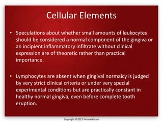 Cellular Elements
• Speculations about whether small amounts of leukocytes
should be considered a normal component of the gingiva or
an incipient inflammatory infiltrate without clinical
expression are of theoretic rather than practical
importance.
• Lymphocytes are absent when gingival normalcy is judged
by very strict clinical criteria or under very special
experimental conditions but are practically constant in
healthy normal gingiva, even before complete tooth
eruption.
Copyright ©2021 Periowiki.com
 