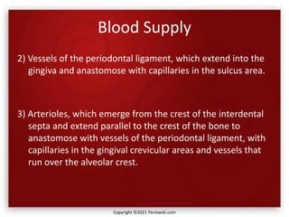 Blood Supply
2) Vessels of the periodontal ligament, which extend into the
gingiva and anastomose with capillaries in the sulcus area.
3) Arterioles, which emerge from the crest of the interdental
septa and extend parallel to the crest of the bone to
anastomose with vessels of the periodontal ligament, with
capillaries in the gingival crevicular areas and vessels that
run over the alveolar crest.
Copyright ©2021 Periowiki.com
 
