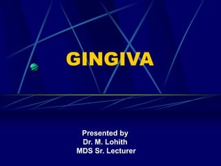 GINGIVA
Presented by
Dr. M. Lohith
MDS Sr. Lecturer
 