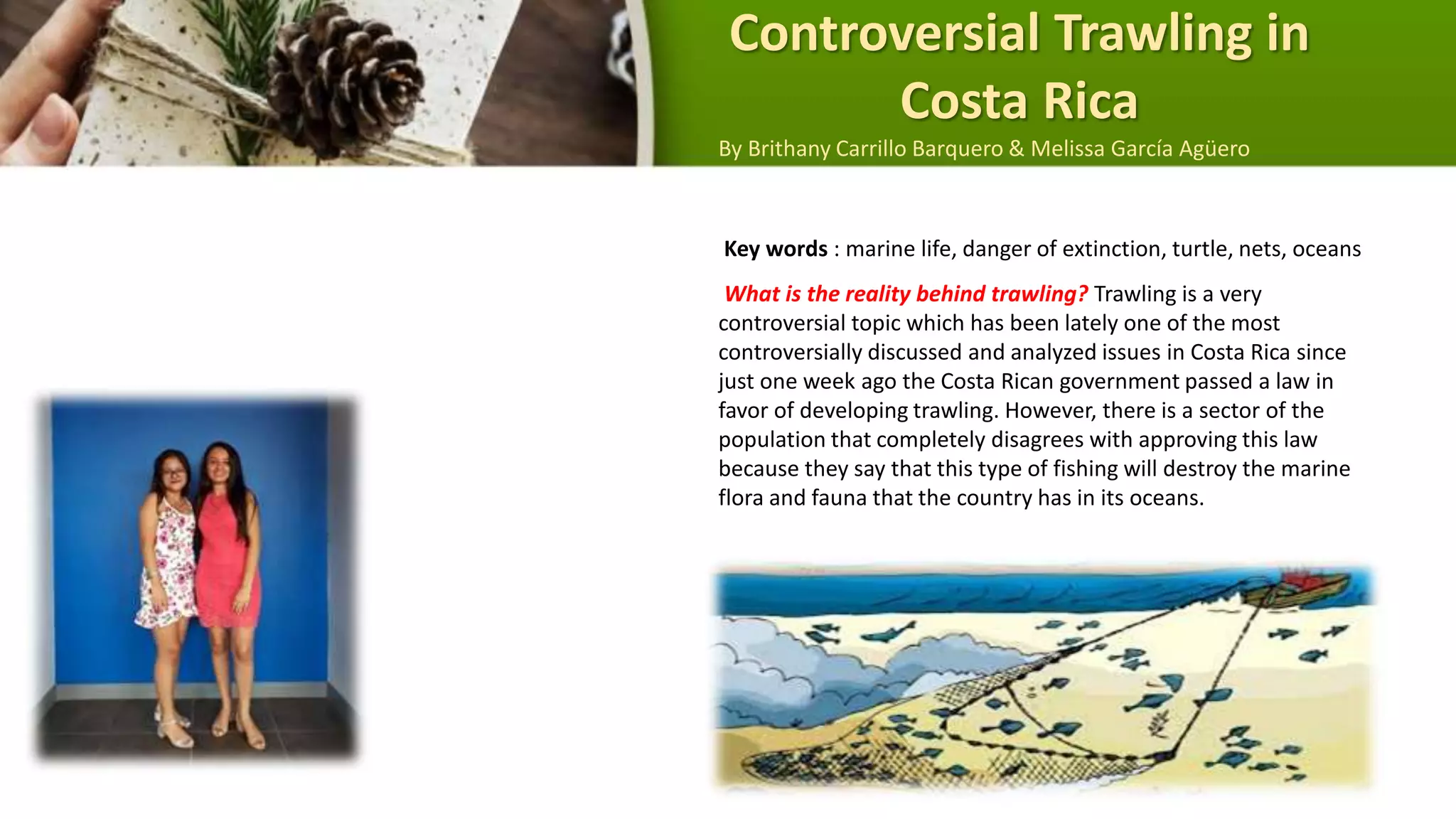 Key words : marine life, danger of extinction, turtle, nets, oceans
What is the reality behind trawling? Trawling is a very
controversial topic which has been lately one of the most
controversially discussed and analyzed issues in Costa Rica since
just one week ago the Costa Rican government passed a law in
favor of developing trawling. However, there is a sector of the
population that completely disagrees with approving this law
because they say that this type of fishing will destroy the marine
flora and fauna that the country has in its oceans.
Controversial Trawling in
Costa Rica
By Brithany Carrillo Barquero & Melissa García Agüero
 