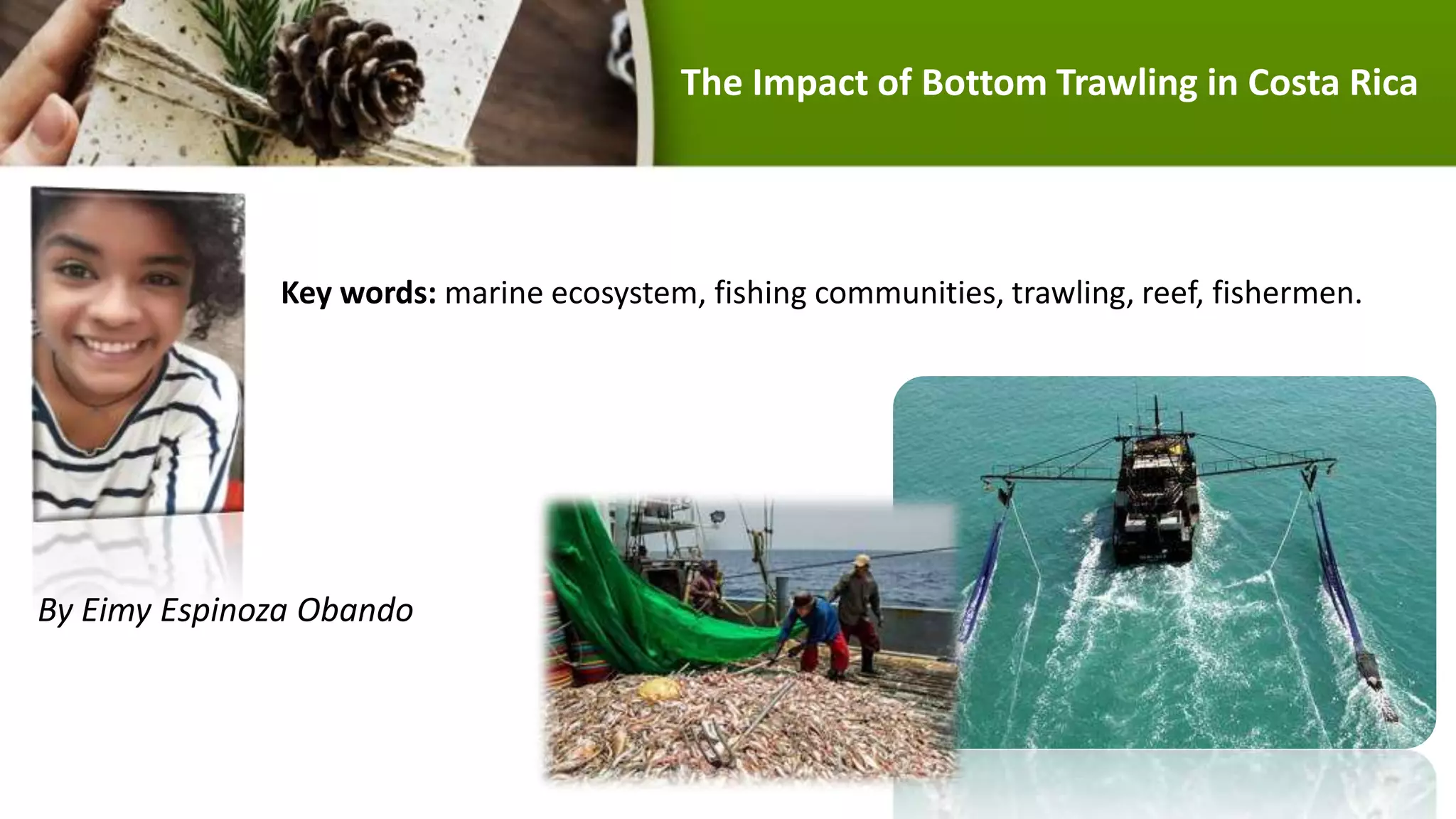The Impact of Bottom Trawling in Costa Rica
Key words: marine ecosystem, fishing communities, trawling, reef, fishermen.
By Eimy Espinoza Obando
 