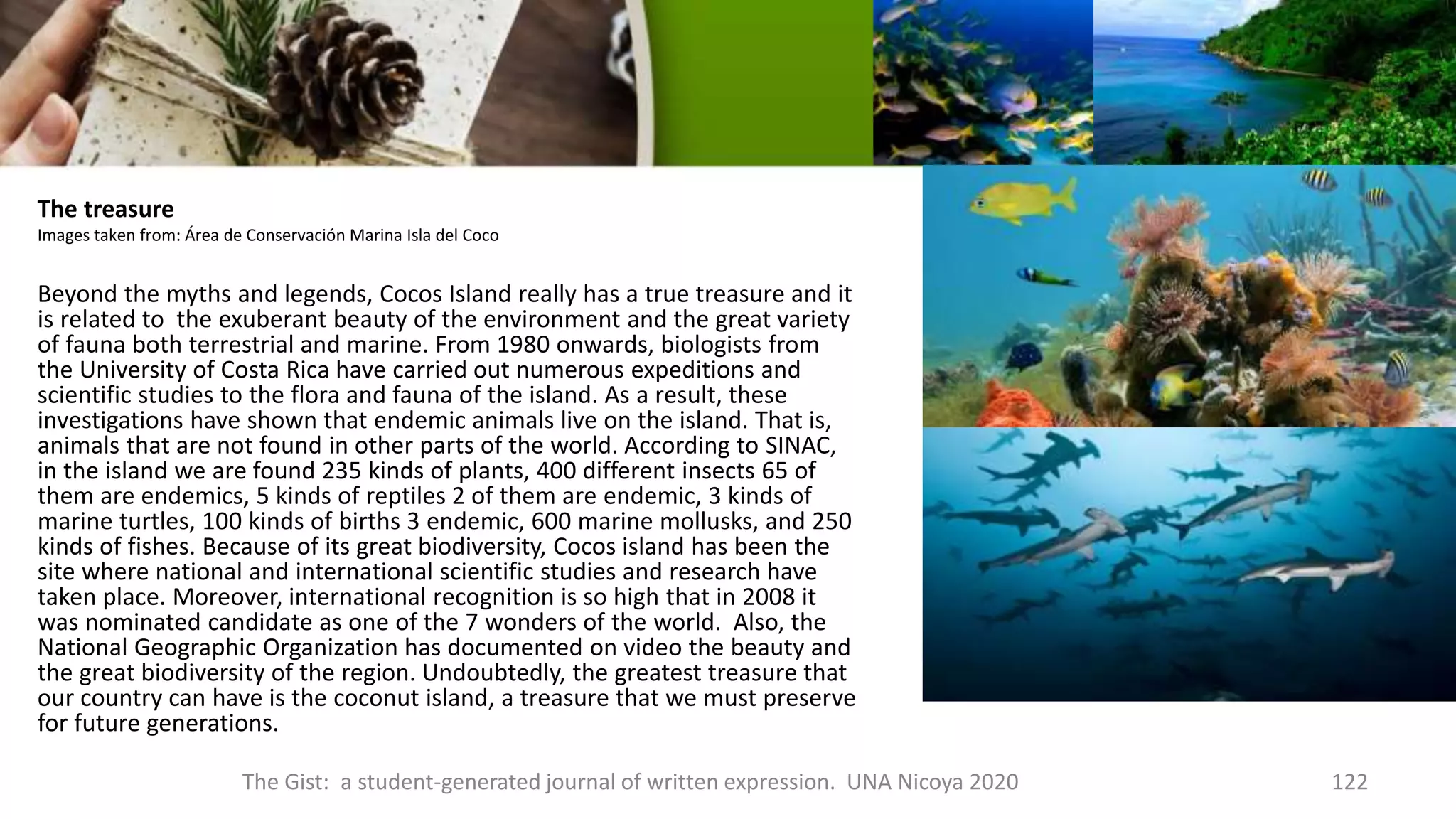 The treasure
Images taken from: Área de Conservación Marina Isla del Coco
Beyond the myths and legends, Cocos Island really has a true treasure and it
is related to the exuberant beauty of the environment and the great variety
of fauna both terrestrial and marine. From 1980 onwards, biologists from
the University of Costa Rica have carried out numerous expeditions and
scientific studies to the flora and fauna of the island. As a result, these
investigations have shown that endemic animals live on the island. That is,
animals that are not found in other parts of the world. According to SINAC,
in the island we are found 235 kinds of plants, 400 different insects 65 of
them are endemics, 5 kinds of reptiles 2 of them are endemic, 3 kinds of
marine turtles, 100 kinds of births 3 endemic, 600 marine mollusks, and 250
kinds of fishes. Because of its great biodiversity, Cocos island has been the
site where national and international scientific studies and research have
taken place. Moreover, international recognition is so high that in 2008 it
was nominated candidate as one of the 7 wonders of the world. Also, the
National Geographic Organization has documented on video the beauty and
the great biodiversity of the region. Undoubtedly, the greatest treasure that
our country can have is the coconut island, a treasure that we must preserve
for future generations.
The Gist: a student-generated journal of written expression. UNA Nicoya 2020 122
 