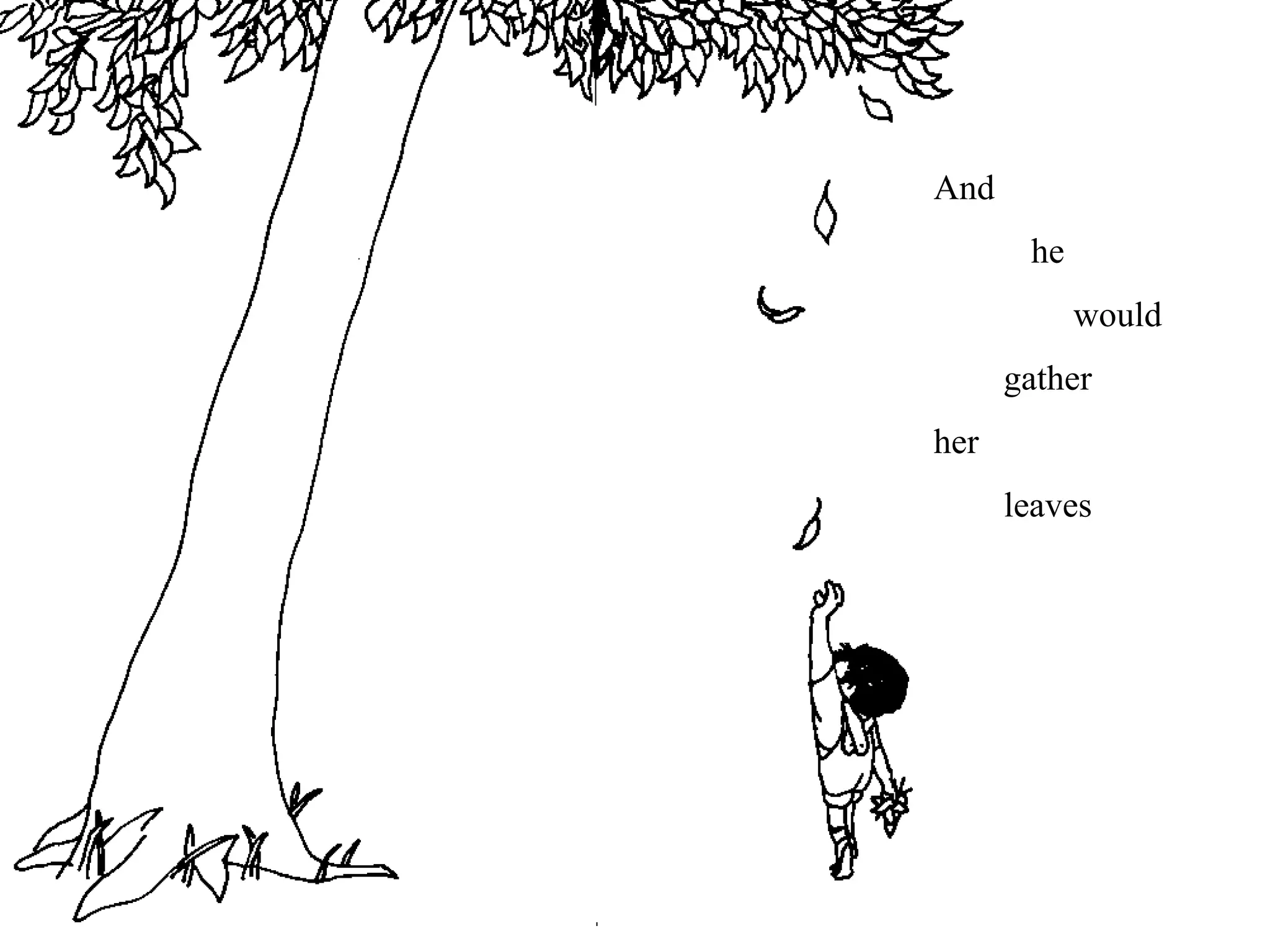 And
he
would
gather
her
leaves
 
