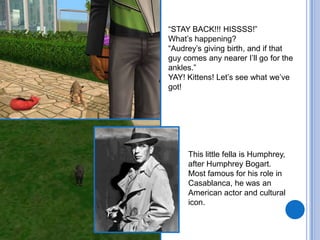“STAY BACK!!! HISSSS!”What’s happening?“Audrey’s giving birth, and if that guy comes any nearer I’ll go for the ankles.”YAY! Kittens! Let’s see what we’ve got!This little fella is Humphrey, after Humphrey Bogart. Most famous for his role in Casablanca, he was an American actor and cultural icon.
