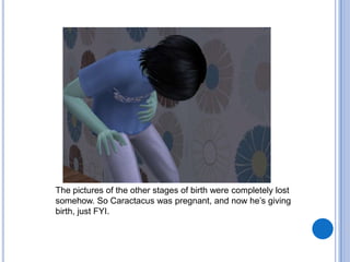 The pictures of the other stages of birth were completely lost somehow. So Caractacus was pregnant, and now he’s giving birth, just FYI.