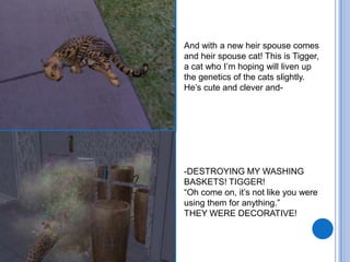 And with a new heir spouse comes and heir spouse cat! This is Tigger, a cat who I’m hoping will liven up the genetics of the cats slightly. He’s cute and clever and--DESTROYING MY WASHING BASKETS! TIGGER!“Oh come on, it’s not like you were using them for anything.”THEY WERE DECORATIVE!