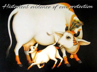 Historical evidence of cow protectionHistorical evidence of cow protection
 