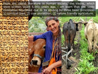 From the oldest literature in human society, the Vedas, which
were written down 5,000 years ago - we learn that the Vedic
civilisation flourished due to its abiding by three basic principles:
1) spiritual laws, 2) cow protection, 3) nature friendly agriculture.
 