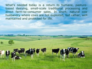 What’s needed today is a return to humane, pasture-
based dairying, small-scale traditional processing and
direct farm-to-consumer sales. In short; natural cow
husbandry where cows are not exploited, but rather, well
maintained and protected for life.
 