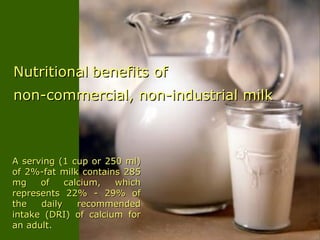NutritionalNutritional benefits ofbenefits of
non-commercial, non-industrial milknon-commercial, non-industrial milk
A serving (1 cup or 250 ml)A serving (1 cup or 250 ml)
of 2%-fat milk contains 285of 2%-fat milk contains 285
mg of calcium, whichmg of calcium, which
represents 22% - 29% ofrepresents 22% - 29% of
the daily recommendedthe daily recommended
intake (DRI) of calcium forintake (DRI) of calcium for
an adult.an adult.
 