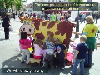 The cow protection is of tremendous
importance for all humanity
We will show you whyWe will show you why
 