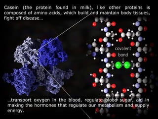 …transport oxygen in the blood, regulate blood sugar, aid in
making the hormones that regulate our metabolism and supply
energy.
Casein (the protein found in milk), like other proteins is
composed of amino acids, which build and maintain body tissues,
fight off disease…
 