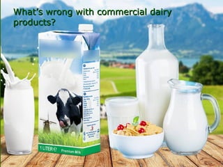 What’s wrong with commercial dairyWhat’s wrong with commercial dairy
products?products?
 