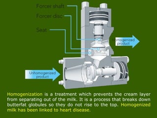 Homogenization is a treatment which prevents the cream layer
from separating out of the milk. It is a process that breaks down
butterfat globules so they do not rise to the top. Homogenized
milk has been linked to heart disease.
 