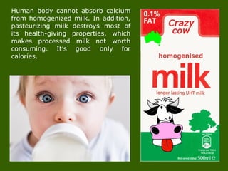 Human body cannot absorb calcium
from homogenized milk. In addition,
pasteurizing milk destroys most of
its health-giving properties, which
makes processed milk not worth
consuming. It’s good only for
calories.
 
