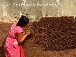 Cow husbandry by-products
 