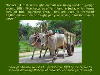 “India's 84 million draught animals are being used to plough
around 100 million hectares of farm land in India, which forms
60% of total cultivable area. They are used to transport
25,000 million tons of freight per year saving 6 million tons of
diesel.”
(‘Draught Animals News’ #11, published in 1989 by the Centre for
Tropical Veterinary Medicine of University of Edinburgh, Scotland)
 