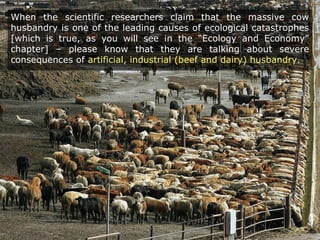 When the scientific researchers claim that the massive cow
husbandry is one of the leading causes of ecological catastrophes
[which is true, as you will see in the “Ecology and Economy”
chapter] – please know that they are talking about severe
consequences of artificial, industrial (beef and dairy) husbandry.
 