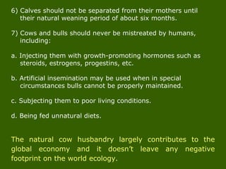 6) Calves should not be separated from their mothers until
their natural weaning period of about six months.
7) Cows and bulls should never be mistreated by humans,
including:
a. Injecting them with growth-promoting hormones such as
steroids, estrogens, progestins, etc.
b. Artificial insemination may be used when in special
circumstances bulls cannot be properly maintained.
c. Subjecting them to poor living conditions.
d. Being fed unnatural diets.
The natural cow husbandry largely contributes to the
global economy and it doesn’t leave any negative
footprint on the world ecology.
 