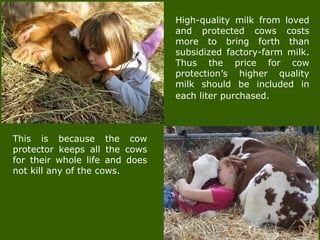High-quality milk from loved
and protected cows costs
more to bring forth than
subsidized factory-farm milk.
Thus the price for cow
protection’s higher quality
milk should be included in
each liter purchased.
This is because the cow
protector keeps all the cows
for their whole life and does
not kill any of the cows.
 