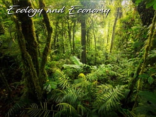 Ecology and EconomyEcology and Economy
 
